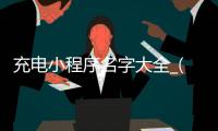 充电小程序名字大全_(电动车充电小程序排行榜)