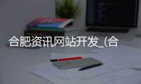 合肥资讯网站开发_(合肥资讯网站开发招聘信息)