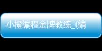 小橙编程金牌教练_(编程小将怎么样一年费用多少)