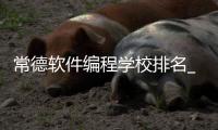 常德软件编程学校排名_(常德学计算机编程的培训)