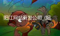 阳江网站开发公司_(阳江网站开发公司排名)