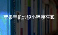 苹果手机炒股小程序在哪_(苹果手机上的炒股软件怎么使用)