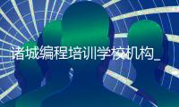 诸城编程培训学校机构_(诸城少儿口才培训学校哪个好)